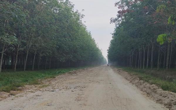 Akses Jalan Simpang Pondok Banjar Malasori Kecamatan Dolok Masihul Sergai Sebentar Lagi Diaspal