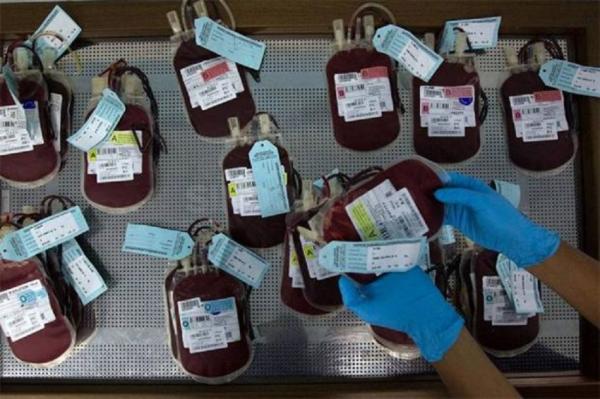 1000 Kantong Plastik Darah Ditemukan Mengandung Penyakit Menular, Ada Sifilis hingga HIV/AIDS?