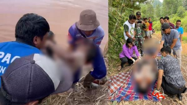 Pemilik Jeratan Babi yang Tewaskan Ayah dan Anak di Tana Toraja Diamankan Polisi