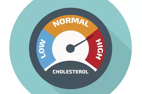Makanan Penurun Kolesterol Jahat Ampuh Cegah Kematian Dini
