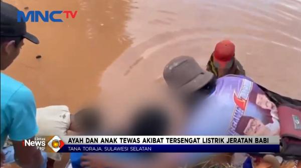 Video: Nahas! Ayah dan Anak Tewas Tersetrum Perangkap Babi di Tana Toraja