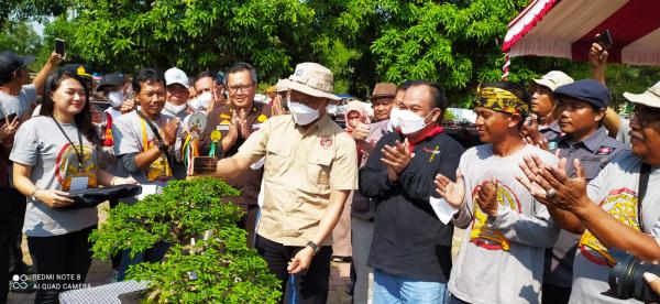 Festival Bonsai Bumi Wiralodra Indramayu Resmi Dibuka, Ini Kata Ketum RUBI