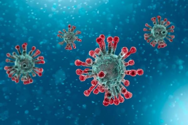Pandemi Covid-19 Belum Berakhir, Virus Marburg Mulai Menyerang dan Belum ada Vaksinnya