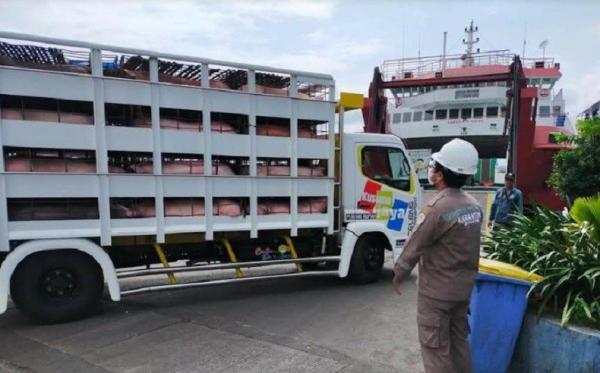 Petugas Karantina Menggagalkan Pengiriman 160 Ekor Babi Tujuan Jakarta di Pelabuhan Gilimanuk