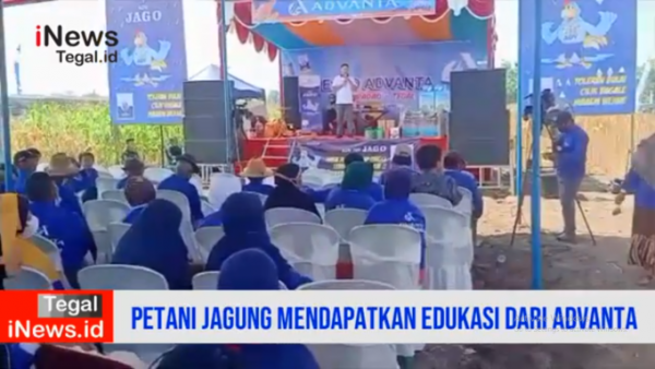 Video Tingkatkan Hasil Panen, Ribuan Petani Jagung di Tegal Dapat Edukasi dari Advanta