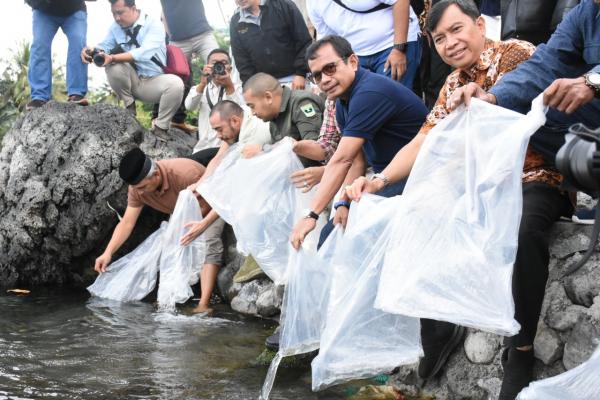 Sukses Budidayakan Ikan Bilih, PT Semen Padang Tebar 7.000 Ekor ke Habitat Aslinya