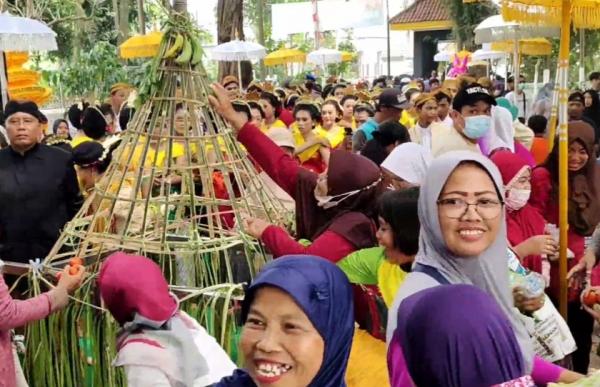 Peringati Tradisi Suro,  Ratusan Warga Berebut Gunungan