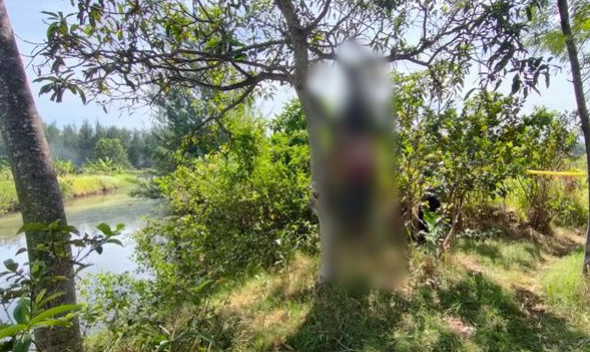 Waduh! Pelaku Penganiaya Istri di Batang Ditemukan Tewas Gantung Diri di Pohon Mangga