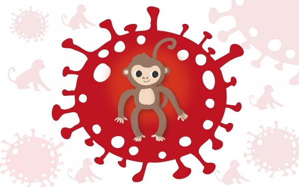 Warga Jateng Diduga Terinfeksi Cacar Monyet, Ini Kata Kemenkes