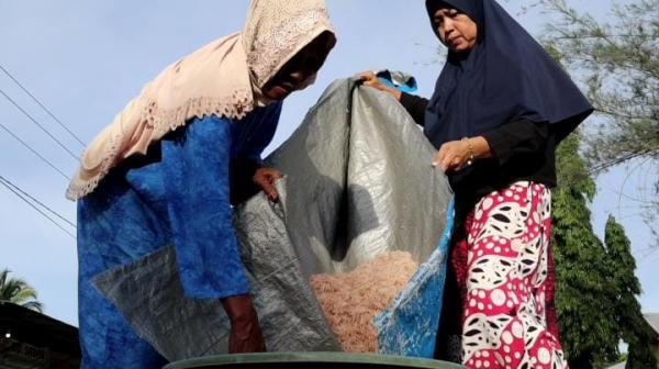 Warga Panen Udang di Pantai Cemara Indah