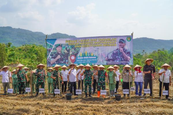 Tanam Jagung di Subang, Danrem 063 Sunan Gunung Jati : Hasilnya Dapat Dimanfaatkan Masyarakat