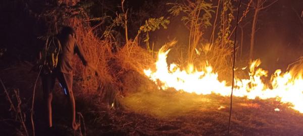 Lahan Dekat Pemukiman Warga Desa Nangatobong Terbakar 