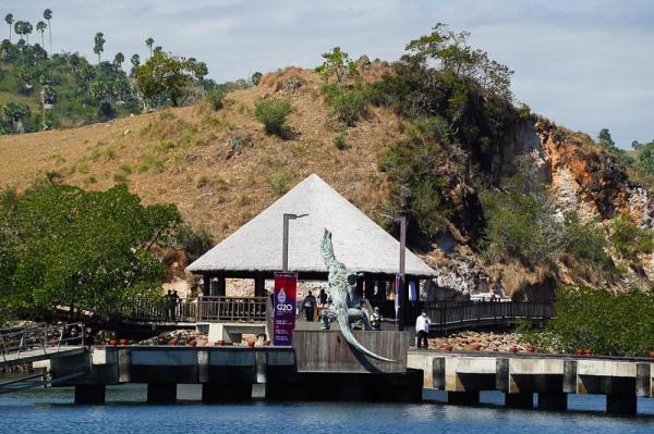 Diprotes Turis karena Mahal, salah satu dari 5 Fakta Dampak Tiket Pulau Komodo Rp3,7 Juta