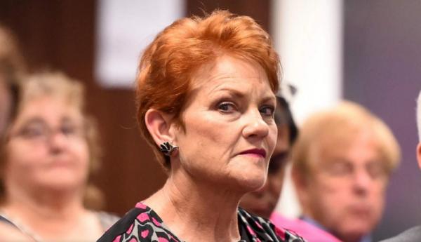 Senator Australia Pauline Hanson Hina Bali, Wagub Oce: Jangan-Jangan Belum Pernah ke Bali