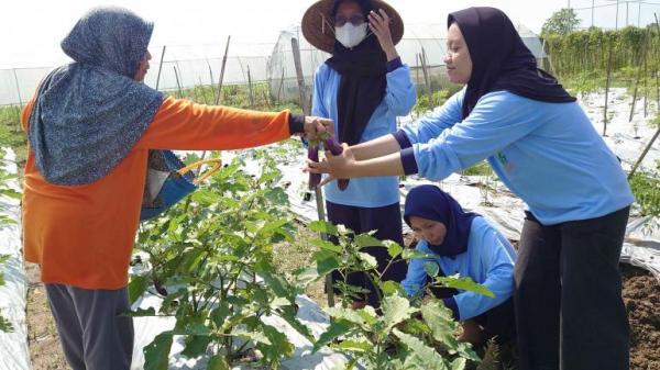 Mengenal Karang Cengis, Lahan Kosong di Desa yang Disulap Jadi Agrowisata