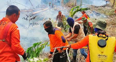25 Hektare Lahan di Rokan Hulu Terbakar, Helikopter Dikerahkan