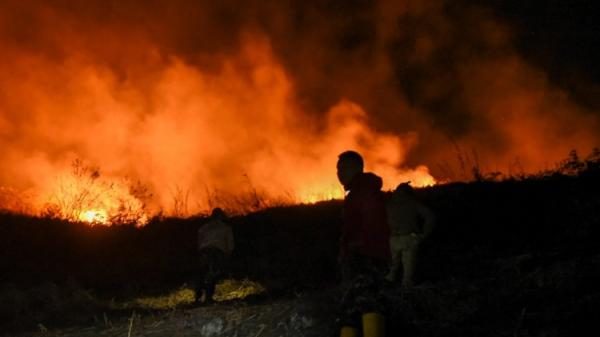 Kebakaran Hutan Kembali Terjadi di Gunung Ciremai, ini Kata BTNGC