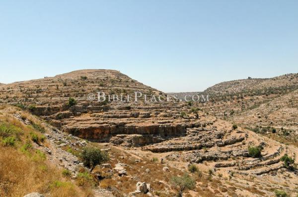 Makam Nabi Yosua Ditemukan di Palestina
