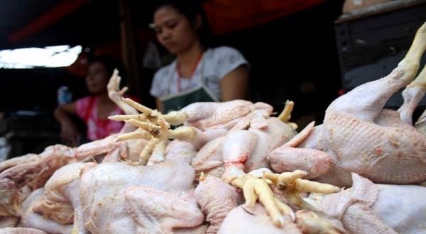 Harga Daging Ayam Melambung, Pembeli dan Pedagang Menjerit