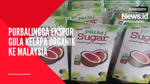 Video Ekspor Gula Kelapa Organik Purbalingga ke Malaysia