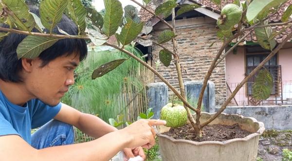 Seorang Pemuda Asal Singajaya Garut Sulap Limbah Rumah Tangga Jadi Pupuk Kualitas Terbaik