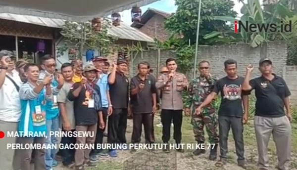 Video Viral Lomba Perkutut Gacoran di Pringsewu