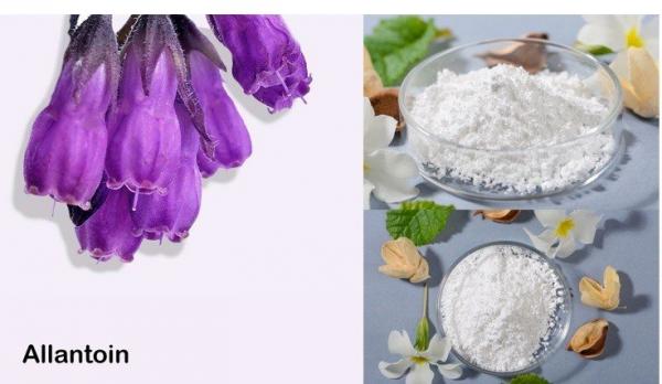 Mengenal Allantoin, Bahan Kecantikan yang Kaya Manfaat