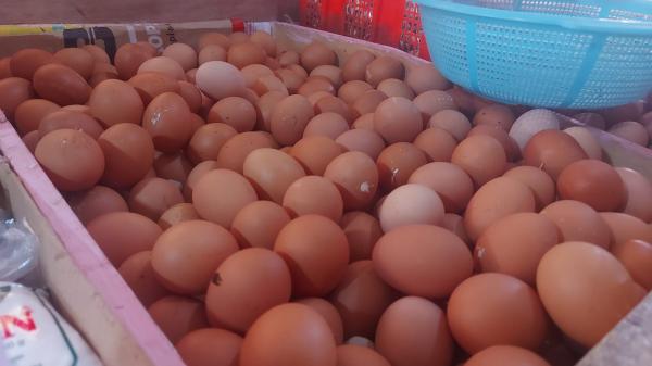 Harga Telur Ayam di Tasikmalaya Naik, Pembeli: Pusing