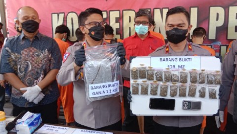 Modus Pengedar Ganja di Cirebon, Gunakan Jasa Expedisi Untuk Kirim Paket Narkoba