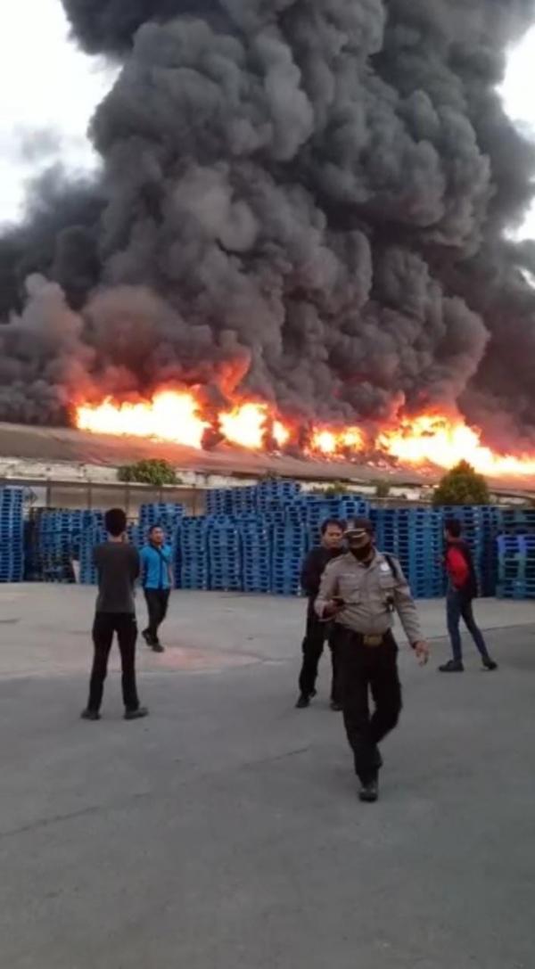 Kebakaran Luluh Lantakkan Pabrik Alumunium Foil di Bogor, 20 Mobil Damkar Dikerahkan Jinakkan Api