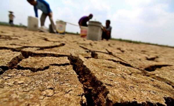 BMKG: El Nino Masih Berlangsung hingga Awal Tahun 2024