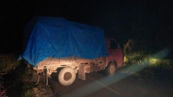 6 Kerbau dengan Truk Angkut Dicegat Polisi bersama Satgas PMK Toraja Utara