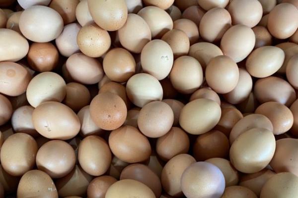 Pedagang Pusing! Harga Telur Ayam Meroket Jadi Rp31.000/Kg