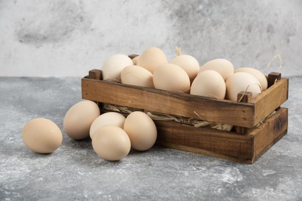 Harga Telur Ayam Tertinggi dalam 5 Tahun Terakhir, Tembus Rp32.000 Per Kilogram