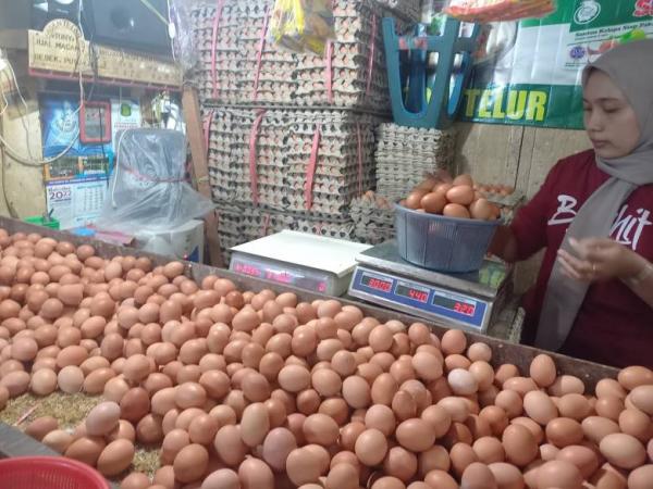 Penjual Telur di Depok Buntung Akibat Harga Telur Melambung, Kok Bisa?