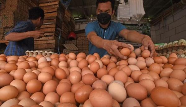 Sempat Naik, Kini Harga Telur Ayam di Kota Bandung Kembali Normal