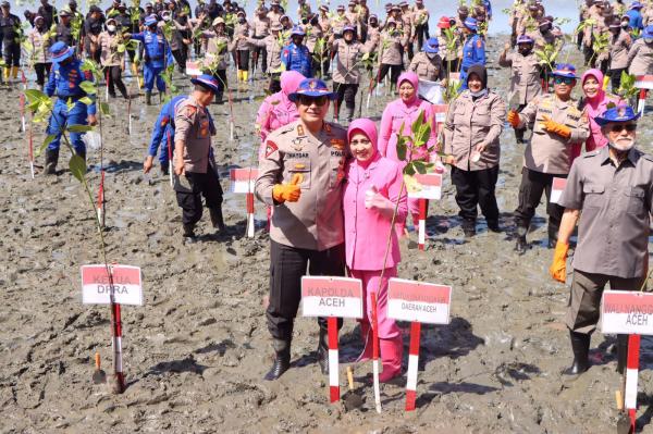 Kapolda Aceh dan Forkopimda Tanam 77 Ribu Pohon Mangrove