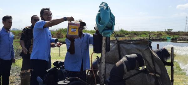 Dosen Fakultas Teknik UWP Berhasil Ubah Minyak Jelantah Jadi Bahan Bakar Solar, Ini Cara Produksinya