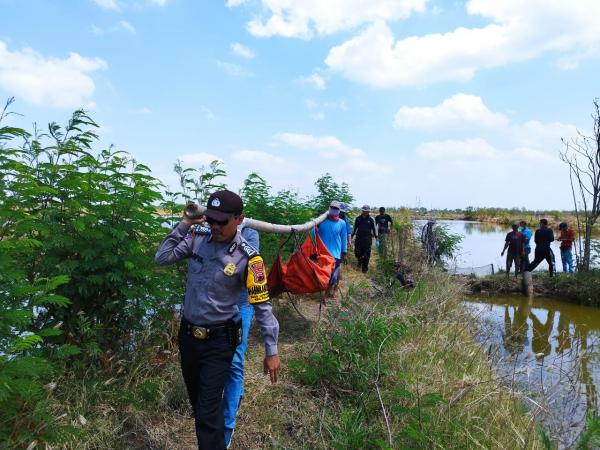 Warga Tanjung Digegerkan Penemuan Mayat Tanpa Identitas Mengapung di Tambak
