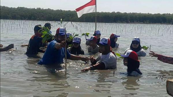 Antisipasi Dampak Perubahan Iklim di Pesisir Brebes, Para Pelajar dari Jakarta Tanam 3.000 Mangrove