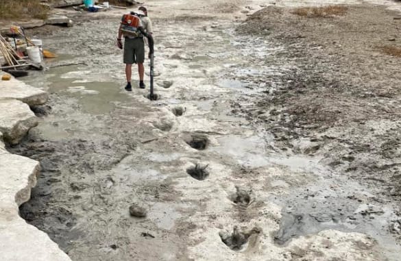 Akibat Sungai di Texas Mengering, Jejak Kaki Dinosaurus Berusia 113 Juta Tahun Muncul 