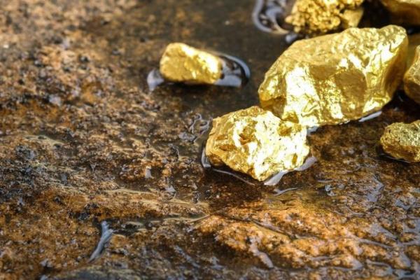 Simak! Daftar Raksasa Tambang Asing Penguasa Harta Karun RI, Nomor 5 Keruk Miliaran Ton Emas