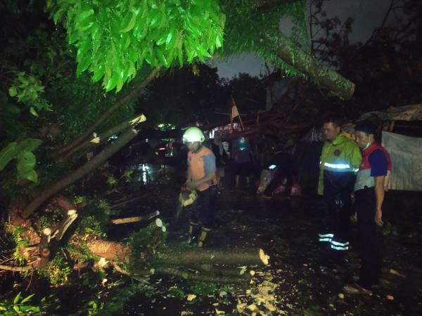 Dampak Hujan Deras, BPBD Kota Bogor Mencatat 25 Musibah Bencana Melanda Kota Bogor Dalam Semalam