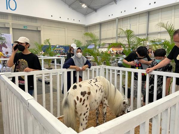 Pet Expo 2022 Berakhir, Pererat Tali Persahabatan Sesama Pecinta Hewan