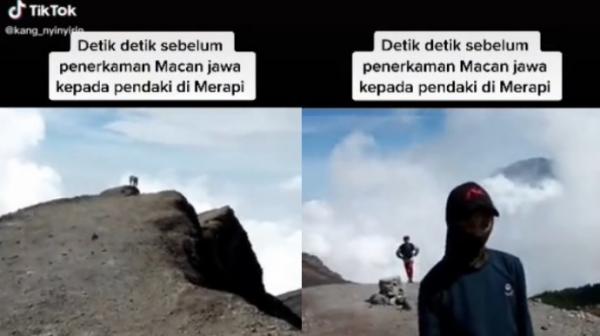 Netizen Anggap Video Viral Macan Jawa Terkam Pendaki di Gunung Merapi Sebagai Hiburan Semata