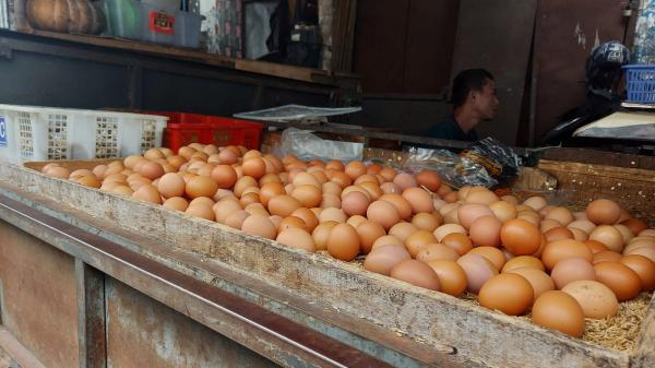 Pemerintah Sebut Harga Telur Ayam Turun Dalam 2 Pekan, Pedagang: Buktikan!