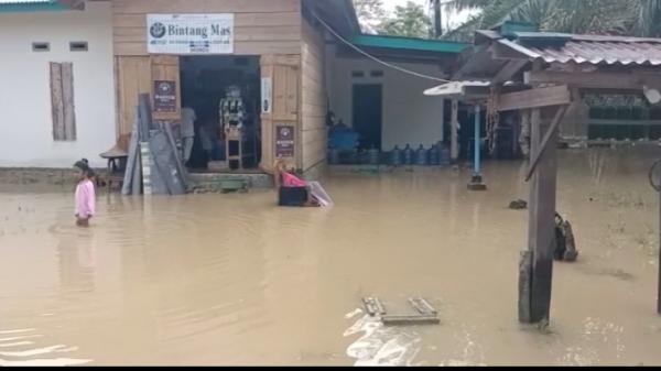Lima Kecamatan di Luwu Utara Terendam Banjir Warga Butuh Perhatian Serius