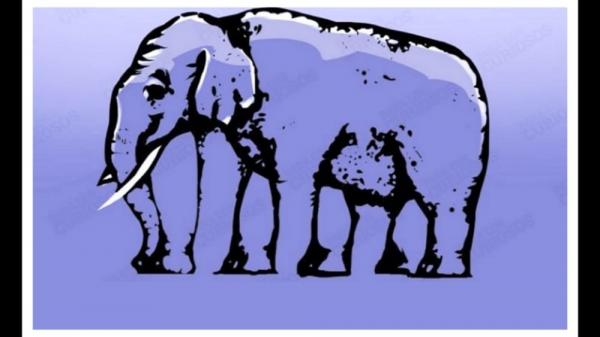 Ilusi Optik Ini Bisa Mengecoh, Coba Tebak Berapa Jumlah Kaki Gajah dalam Gambar Ini