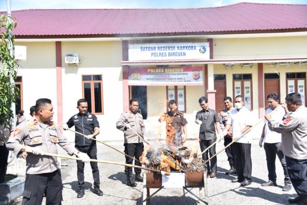 Barang Bukti Ganja 26.475 Gram Dimusnahkan di Polres Bireuen