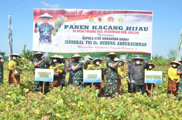 Dukung Program Ketahanan Pangan Nasional, TNI AD Manfaatkan Asset lahan tidur Untuk Areal Pertanian